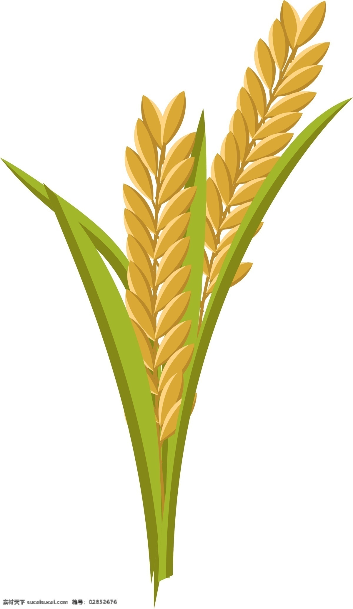 卡通 矢量 金黄 麦穗 卡通矢量 小麦 麦子 收货 小满 麦田 农民 田地 节约食物 光盘行动