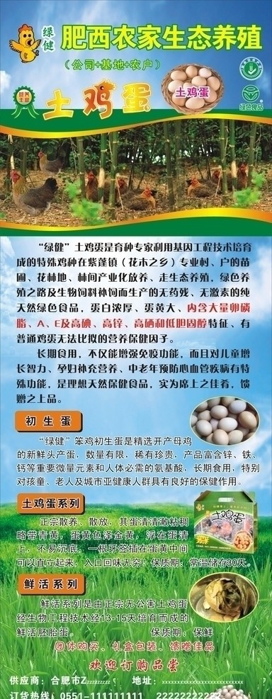 鸡蛋海报 x展架 天空 鸡蛋 母鸡 公鸡 无公害农产品 绿色食品 旺蛋 竹林 清草 篮子 矢量