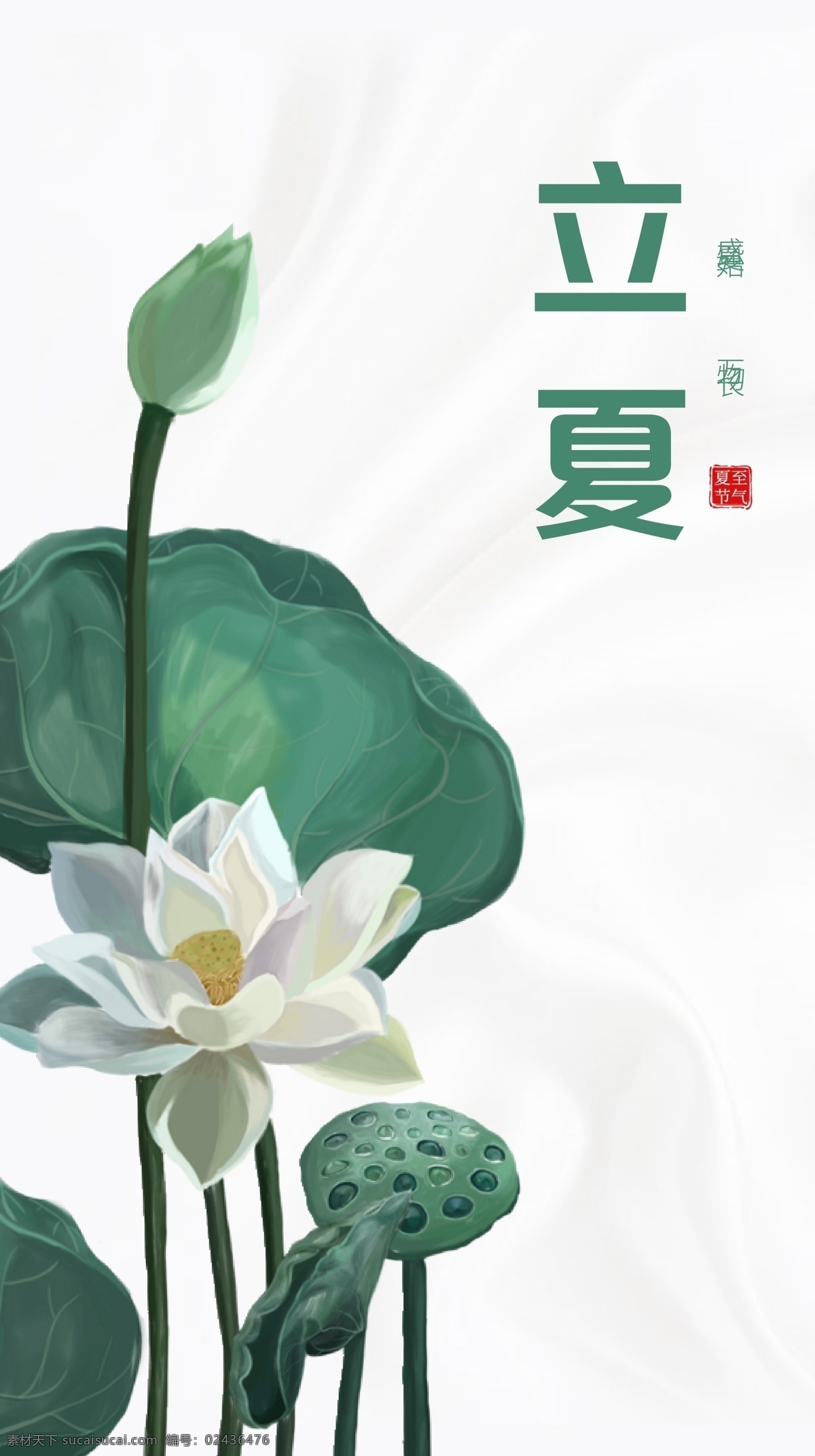 立夏 朋友 圈 海报 二十四节气 微信转发图 节气 朋友圈 荷花 荷叶 白色质感背景 丝绸背景 简约 清新 夏天海报