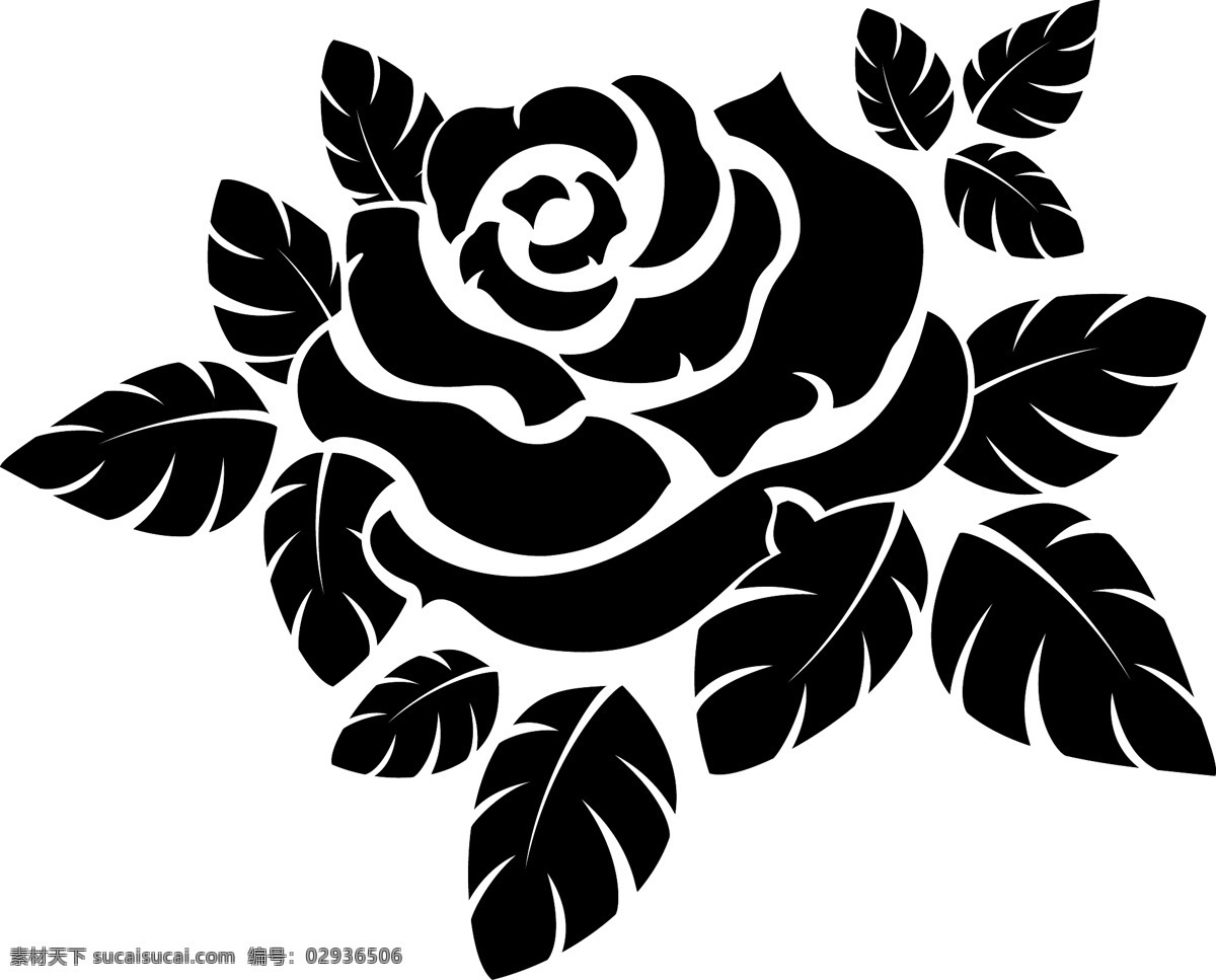 黑白 玫瑰花 图案 花朵 剪影 唯美 叶子 植物