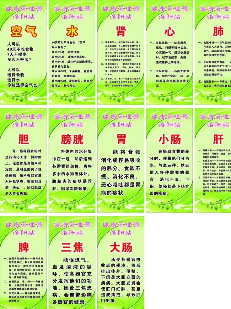 人体五脏 医院文化 空气 水 健康管理 人体器官健康 肾 肾的功能 胃 胃的功能 心 心的功能 肺的功能 肺 胆 胆的功能 膀胱的功能 膀胱 小肠 小肠的功能 肝 肝的工功能 三焦 三焦的功能 脾 脾的功能 大肠 大肠的功能 水对人的作用 空气对人作用 绿色底图 矢量海报
