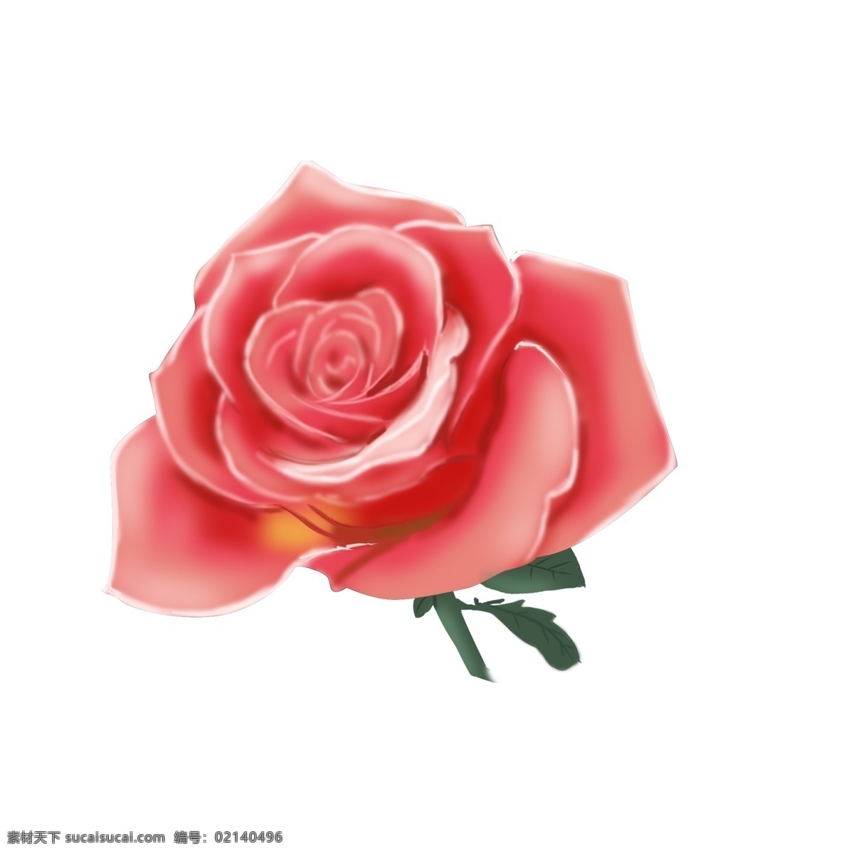 手绘 小 清新 艳丽 植物 花卉 玫瑰花 小清新 装饰 淡红色 可商用