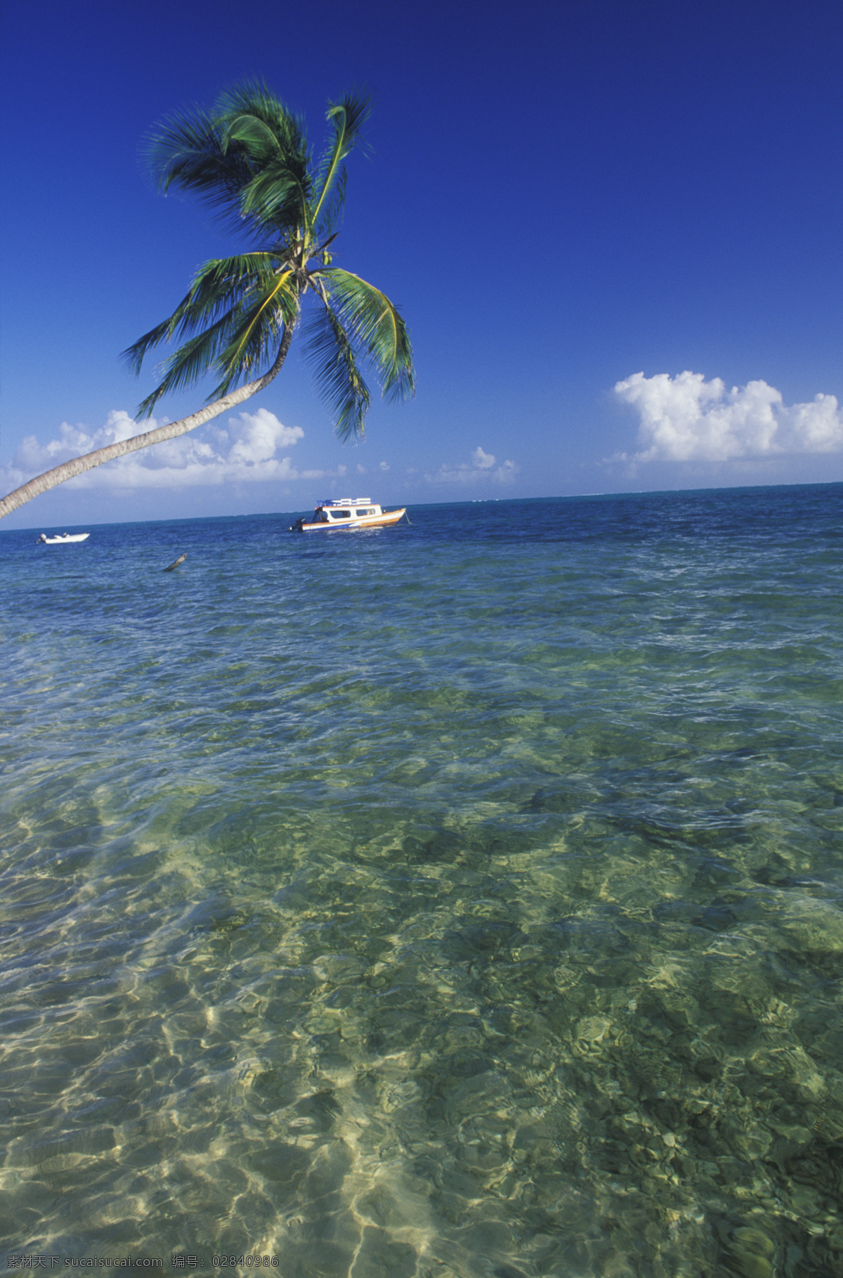 清澈 透明 加勒比 海岸 海水 大海 漂亮 美景 风景 岸边 加勒比海岸 高清图片 大海图片 风景图片