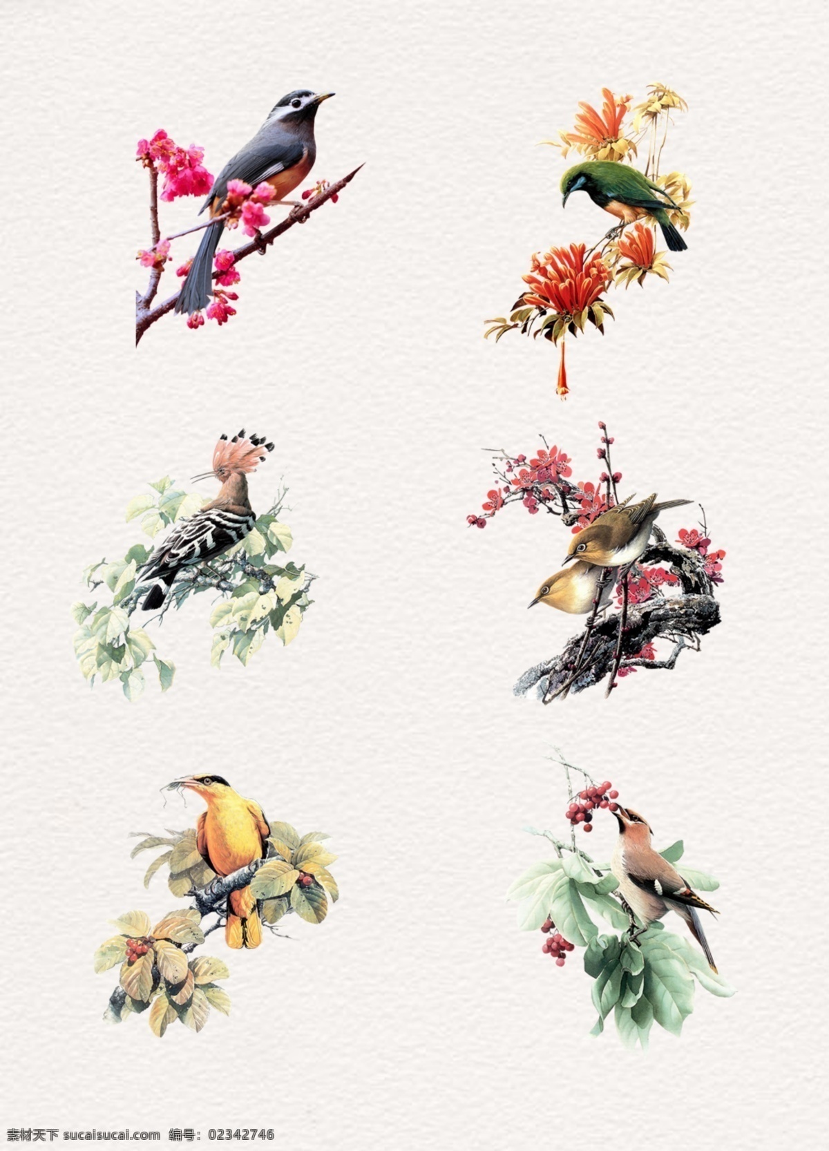 彩绘 站立 树枝 花朵 上 小鸟 彩绘小鸟 可爱小鸟 站立小鸟 彩色小鸟 彩绘花朵 彩绘树枝