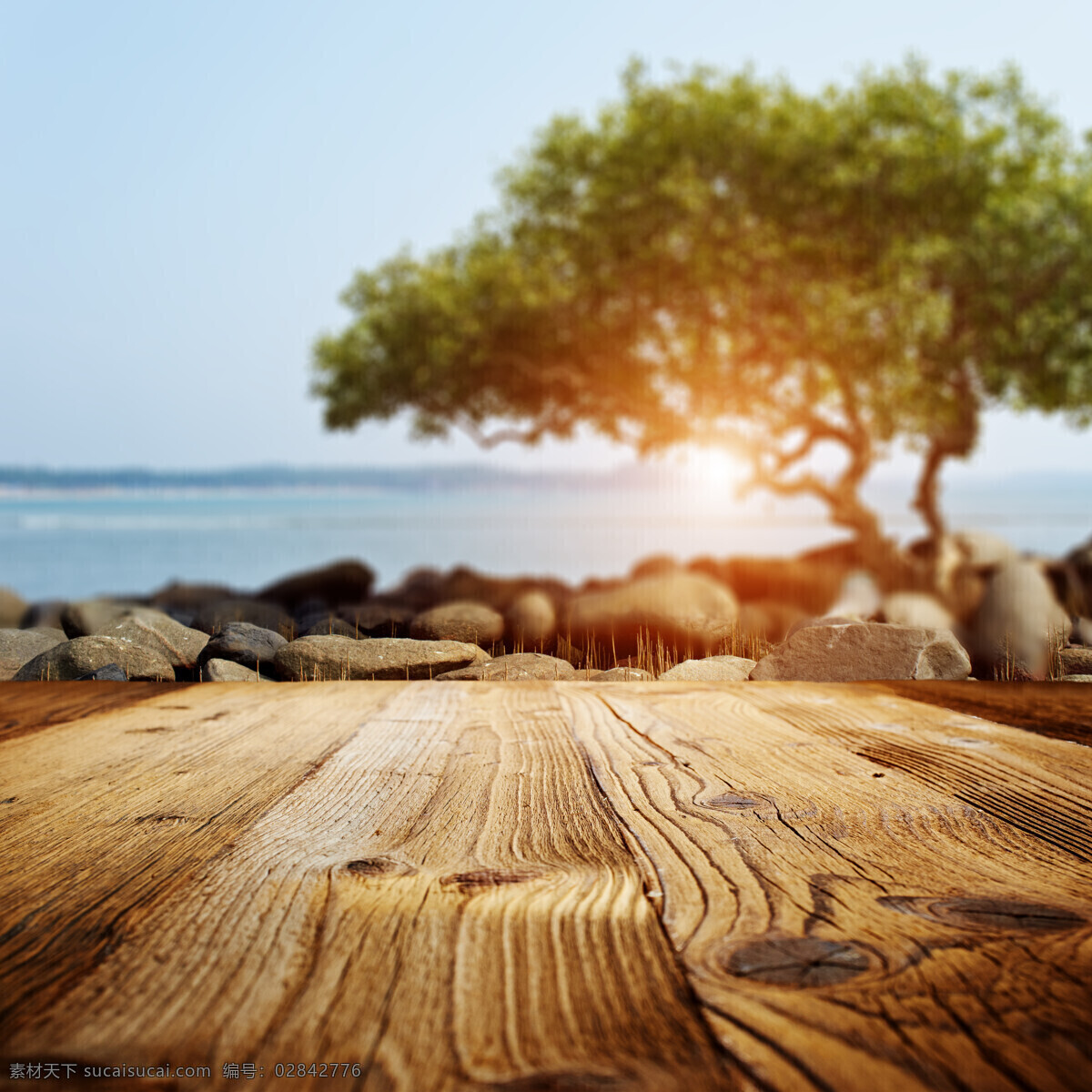 大海 绿树 前 木板 树木 石头 山水风景 风景图片