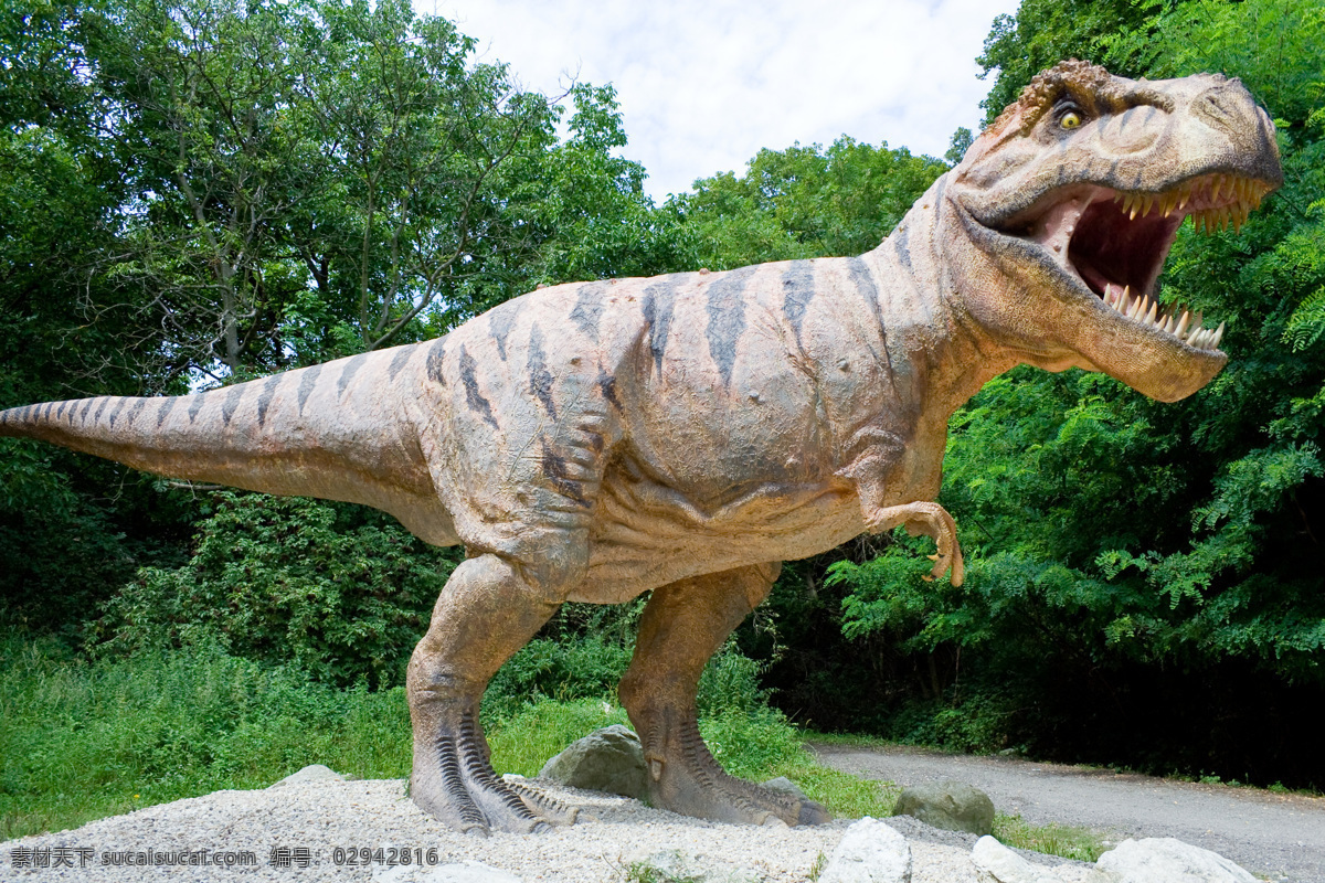 恐龙图片素材 恐龙 动物世界 史前动物 霸王龙 陆地动物 生物世界