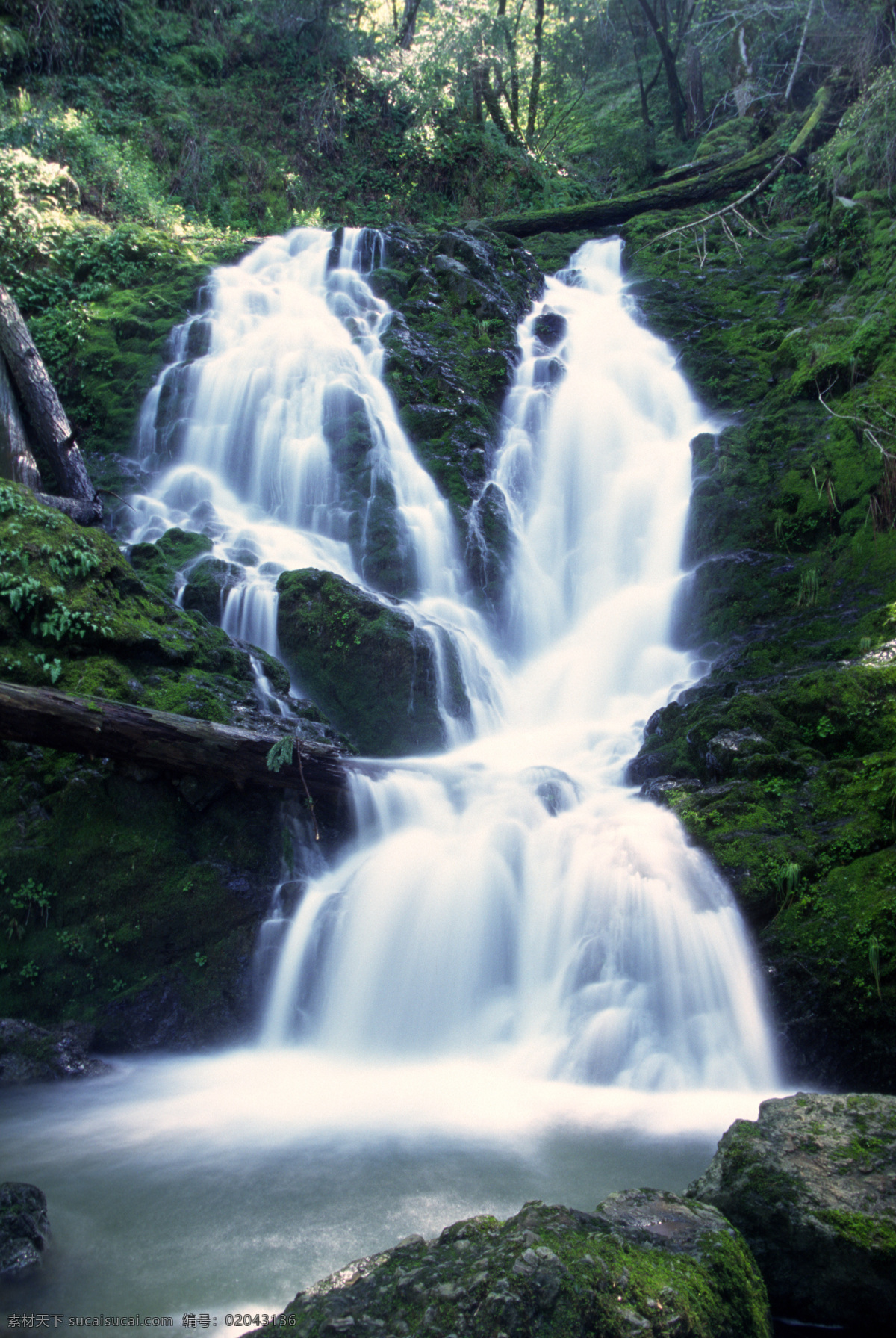 树免费下载 风景 山水风景 摄影图 树 植物 自然景观 水 家居装饰素材 山水风景画