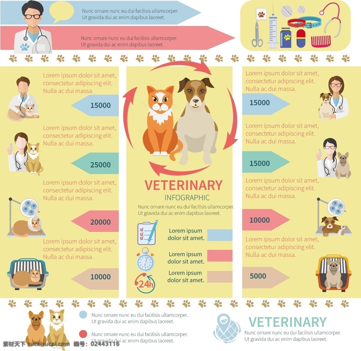 兽医 信息 图表 模板 医疗 狗 猫 动物 健康 营销 图 医药 宠物 过程 图表模板 数据 增长