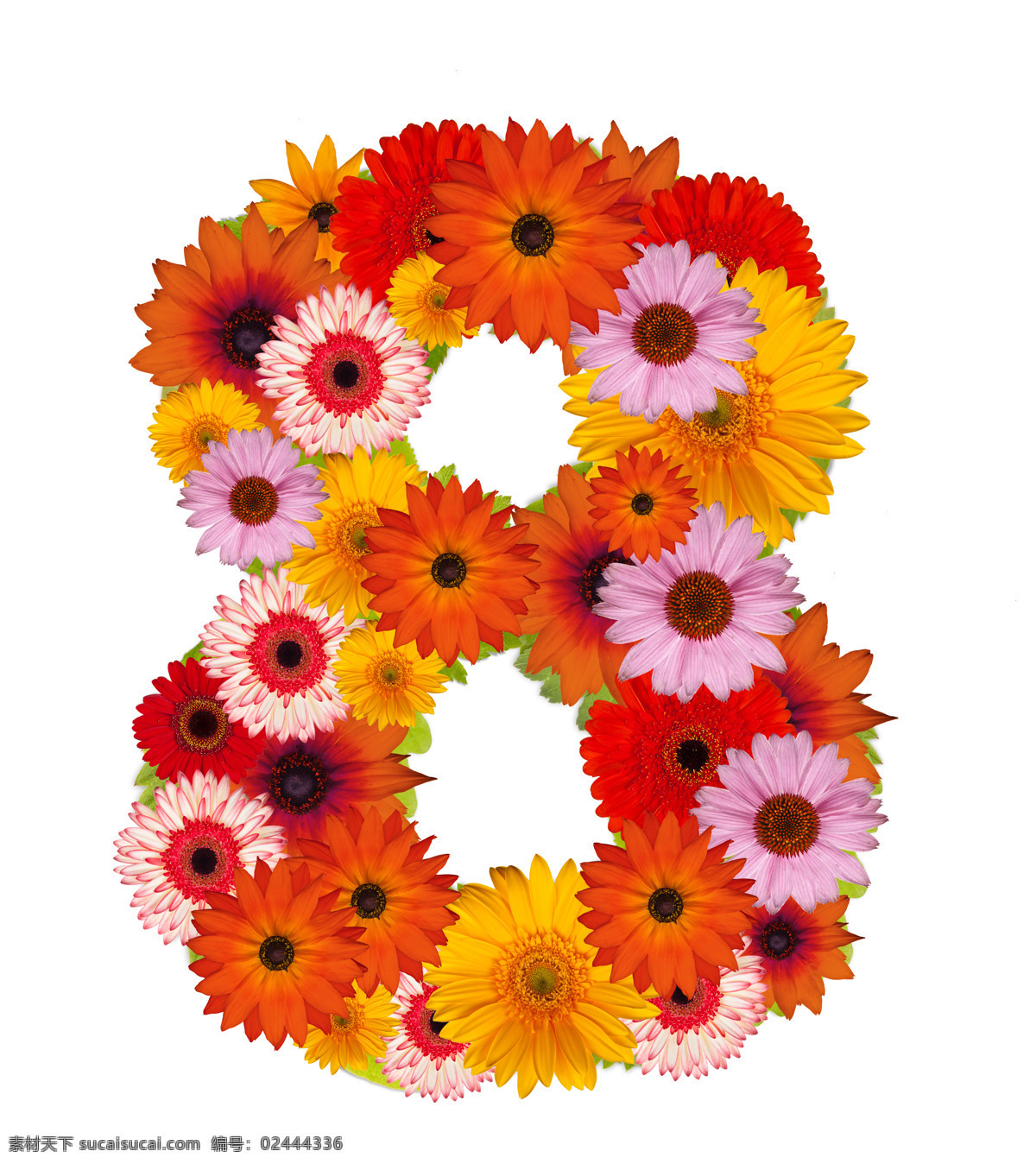 鲜花 组成 数字 艺术字 创意 数字8 花环 花朵 节日庆典 生活百科 白色