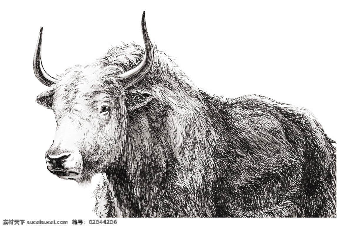 牛简笔画 黑白 牛 简笔画 牛奶 牛奶包装 包装素材 矢量 平面设计 包装设计