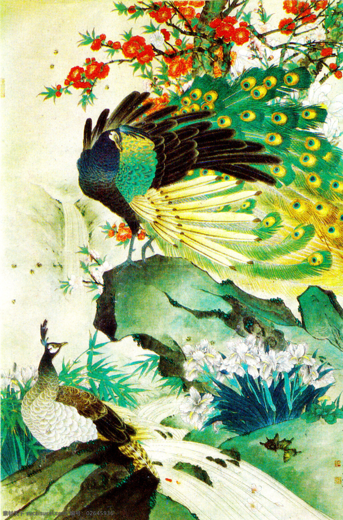 彩色画 花卉 花木 花鸟画 绘画 绘画书法 孔雀 美术 年画 年画艺术 水仙 竹子 溪流 石 印章 年画设计 旧年画 文化艺术 装饰素材 雕刻 图案