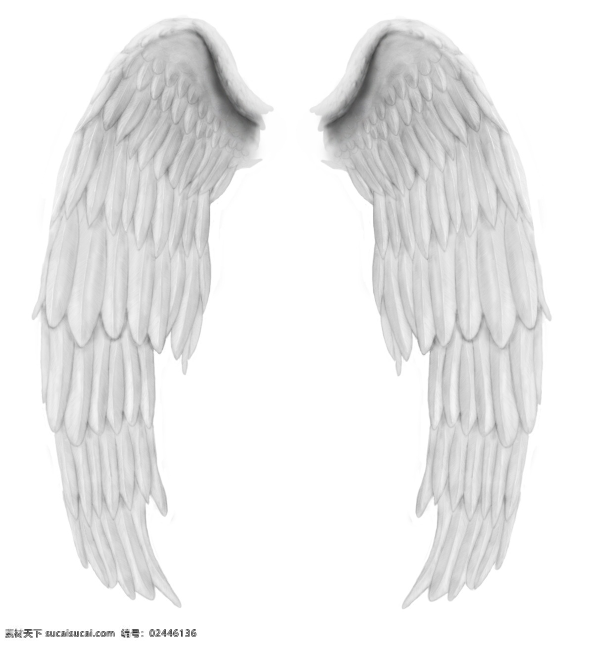 翅膀白色 翅膀 白色 天使 唯美 wing 分层