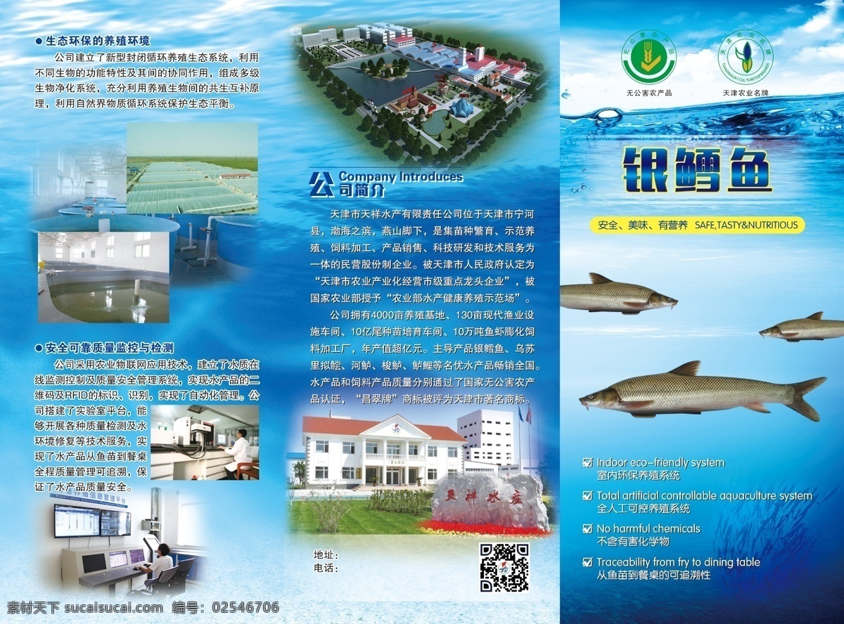 银鳕鱼三折页 银鳕鱼 三折页 蓝底 海洋 大海 灰色