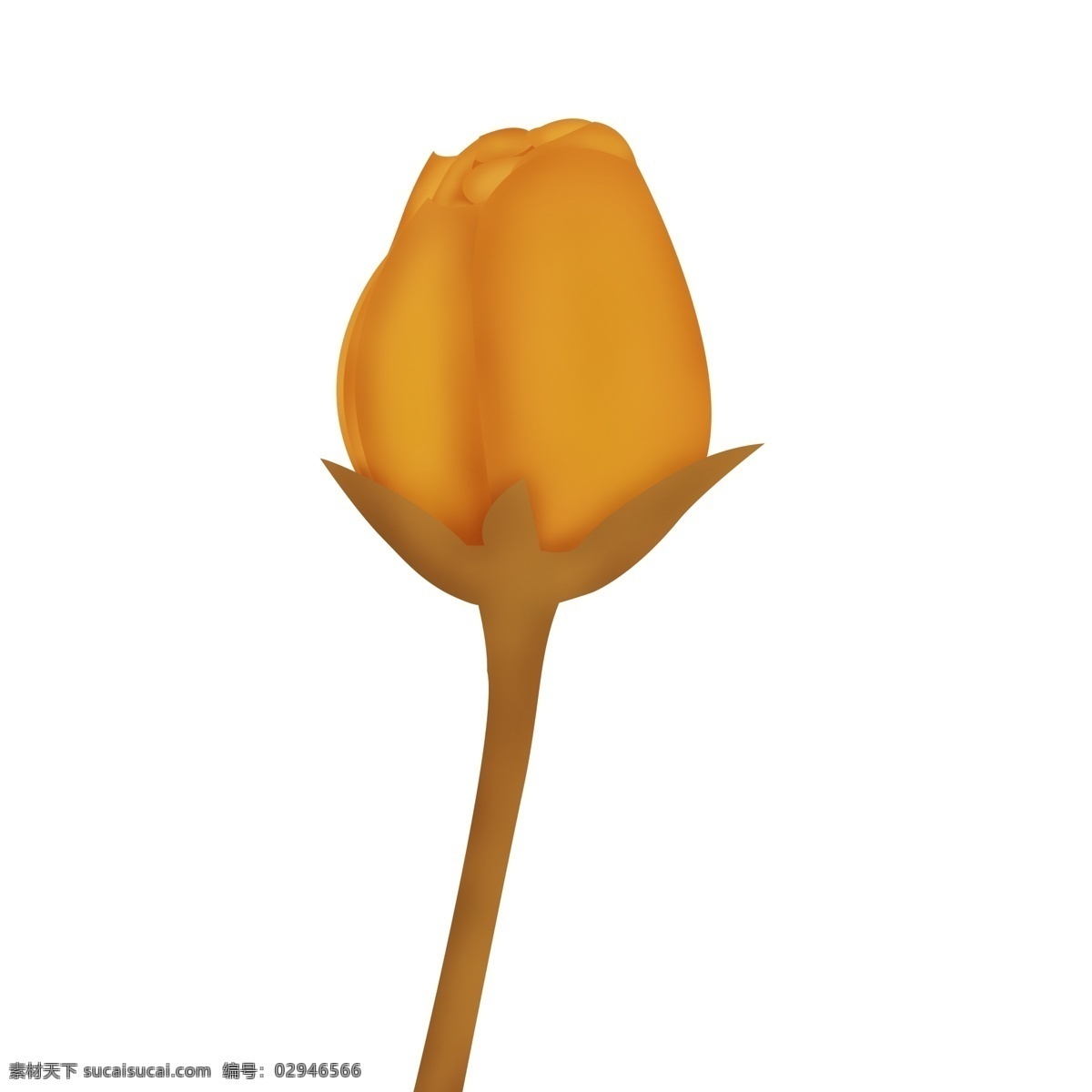 卡通 手绘 金色 玫瑰 烫金玫瑰 玫瑰花 象征爱情 情人节 2月14日 金色花 一束玫瑰