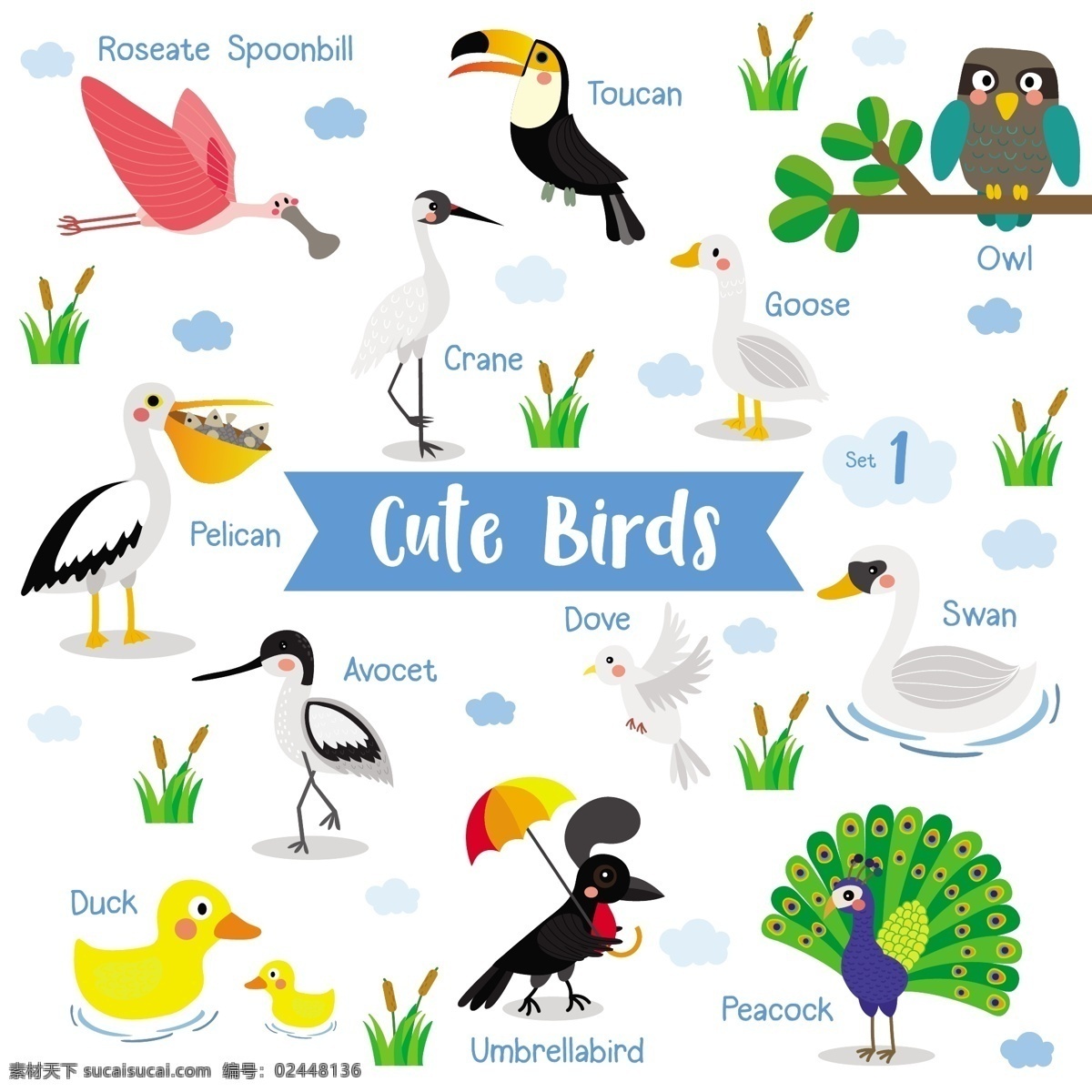 可爱 鸟类 主题 动物 儿童 插画 火烈鸟 孔雀 鸭子 儿童插画 英文横幅
