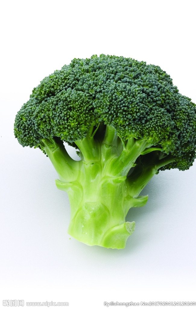 西蓝花 西兰花 蔬菜 高清蔬菜 绿色蔬菜 生物世界