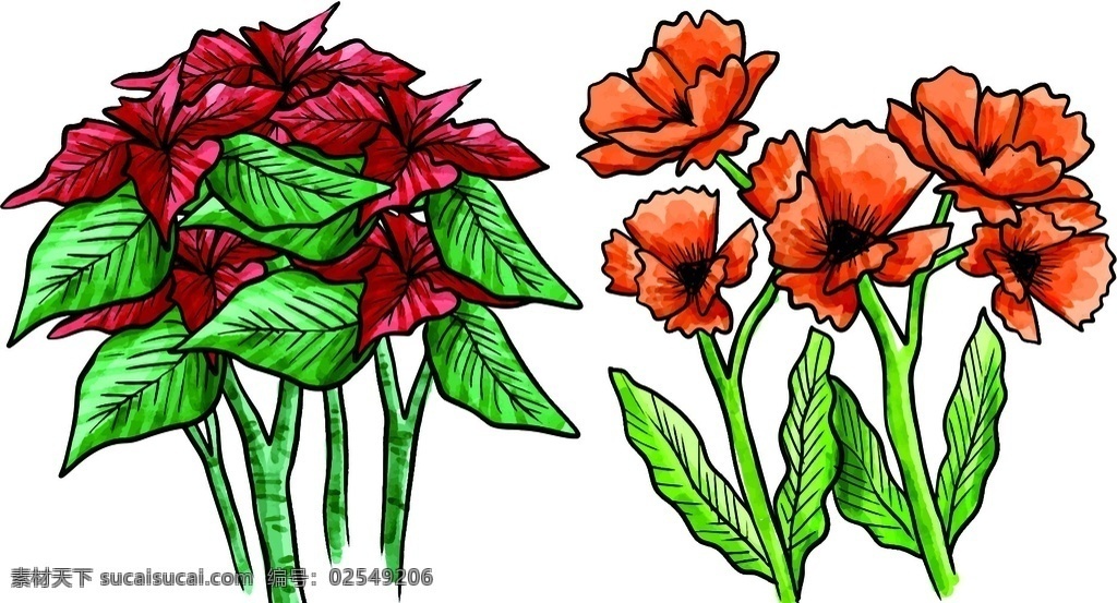 手绘 彩色 花束 花朵 玫瑰 花草树木 生物世界 花草