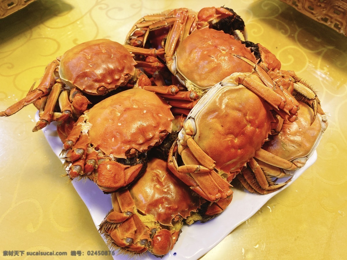 大闸蟹图片 蟹 青蟹 河蟹 湖蟹 毛蟹 清蒸 阳澄湖 蒸蟹 螃蟹 醉蟹 海鲜 蟹钳 蟹脚 大闸蟹 香辣蟹 花雕醉蟹 江南醉三鲜 花雕螃蟹 五香花雕 餐饮美食