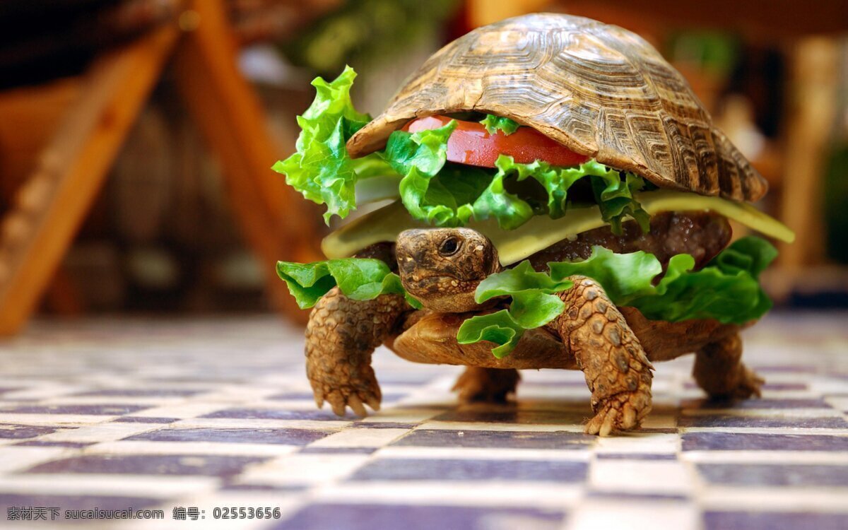 汉堡乌龟 汉堡 乌龟 趣味 生菜 地砖 传统美食 餐饮美食