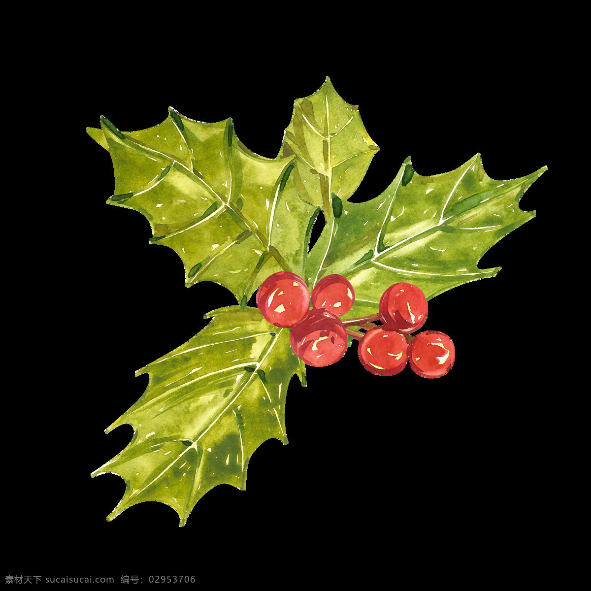手绘 圣诞树 果子 透明 红色 绿色 免扣素材 圣诞节 水彩 透明素材 叶子 装饰图案
