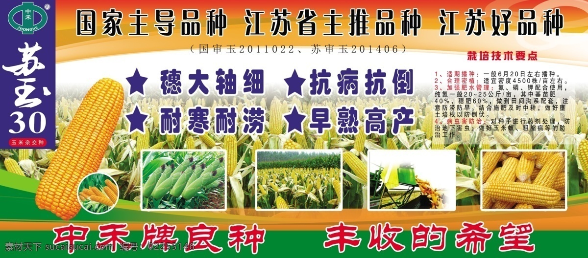 玉米种子 玉米 种子 苏玉 户外车贴 海报