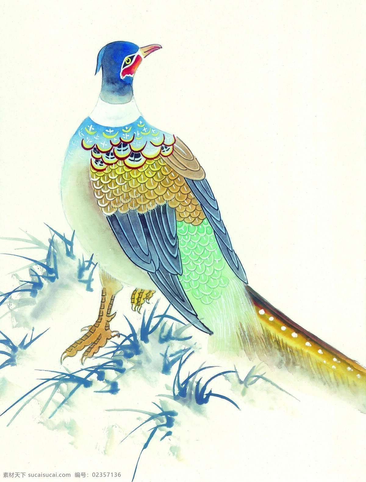花鸟 中国画 38 书画 美术 设计素材 花鸟画篇 中国画篇 书画美术 白色