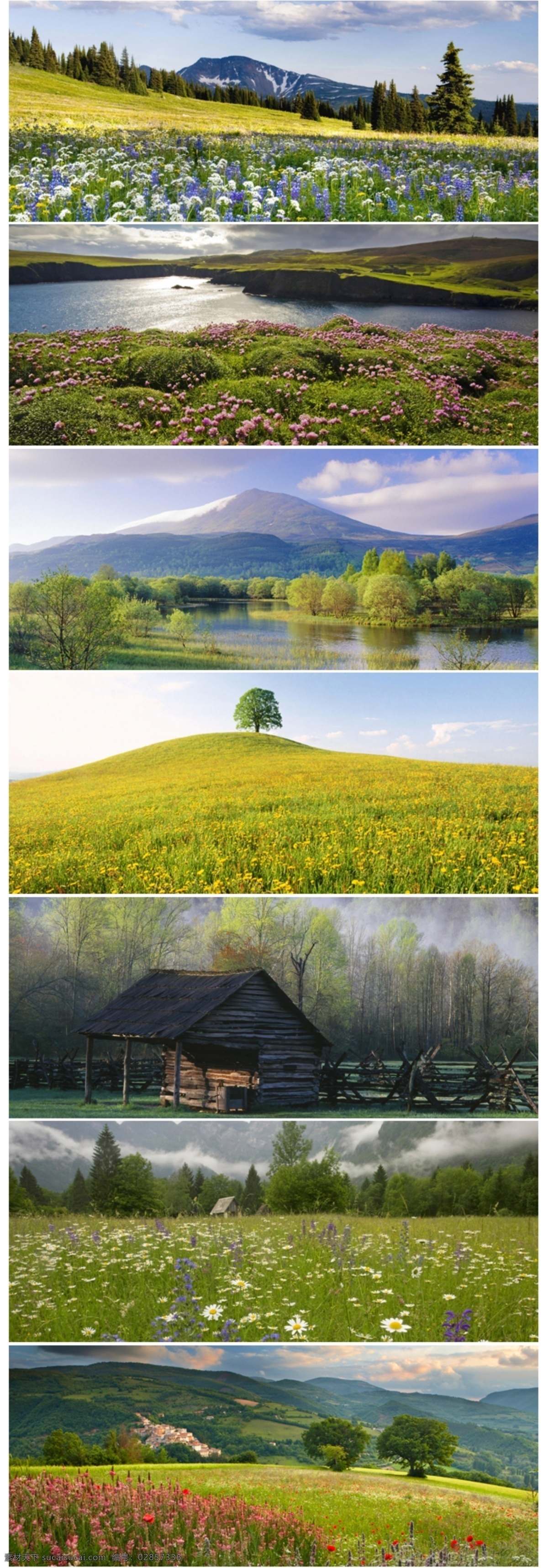 春天的田野 背景 风景 春天 田野 白色