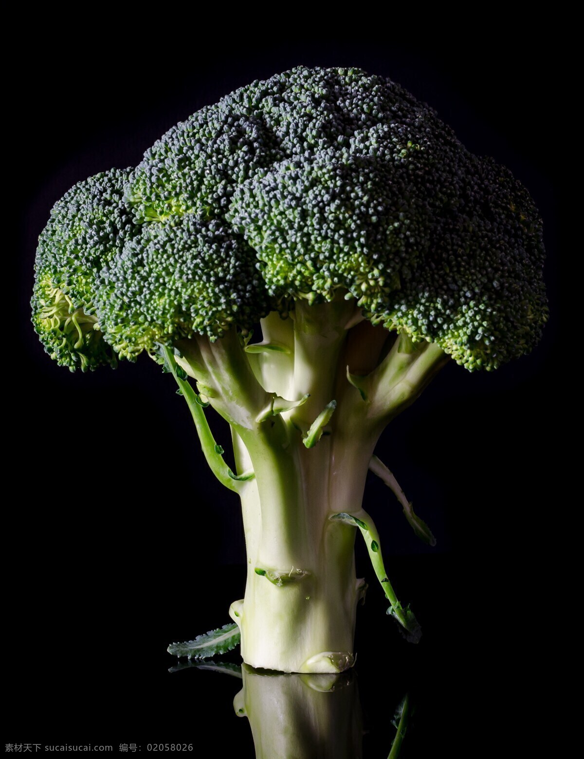 西兰花 新鲜 食品 健康 蔬菜 饮食 绿色 素 新鲜蔬菜 黑色