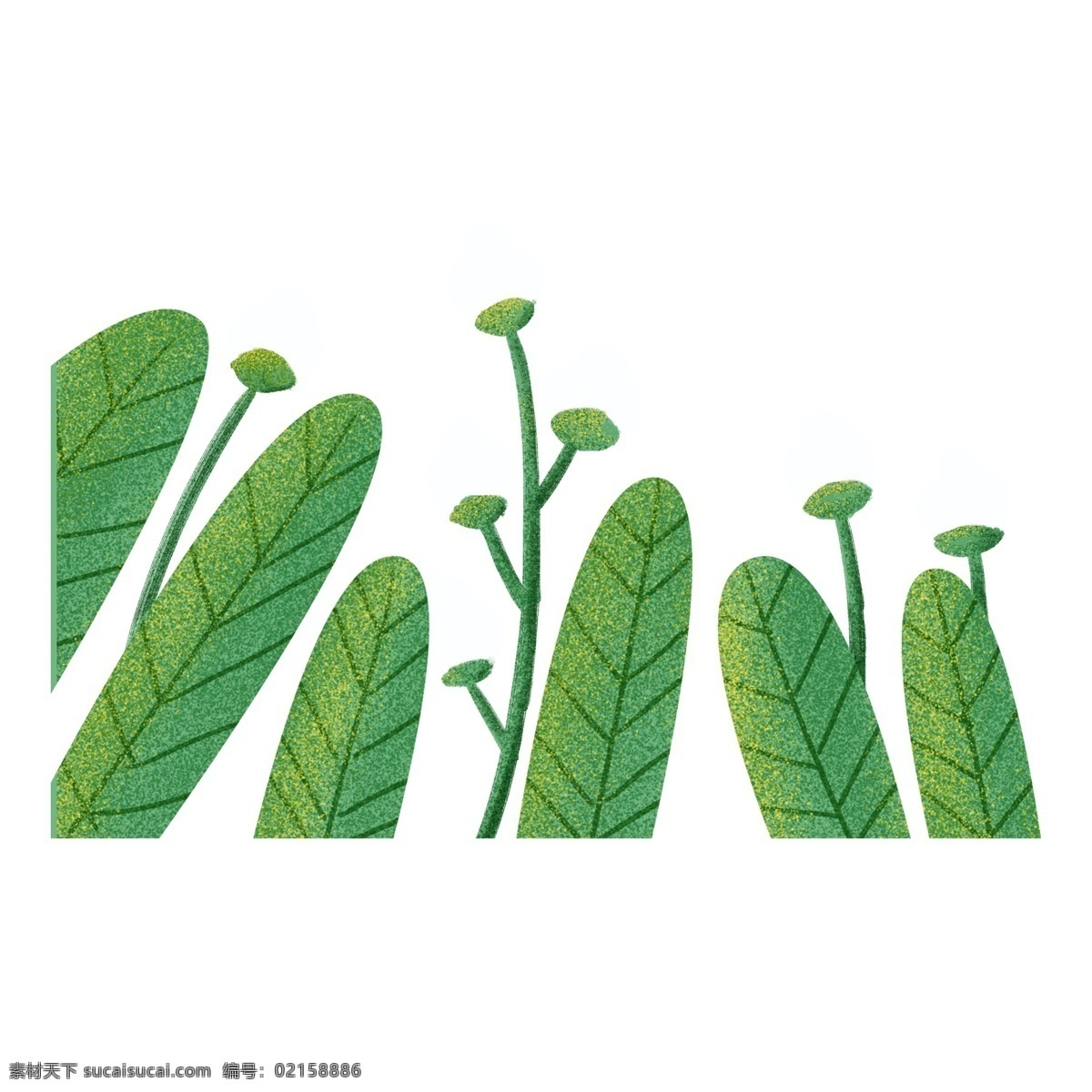唯美 清新 风水 彩 植物 绿色 花卉 叶子 png元素 装饰图案 免扣素材 透明素材