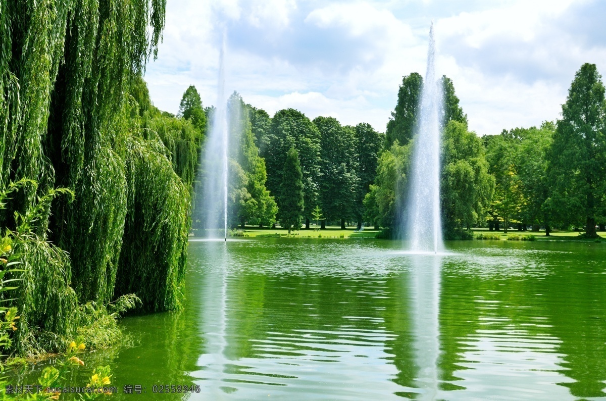 池水喷泉树林 池水 喷泉 树林 自然 风景