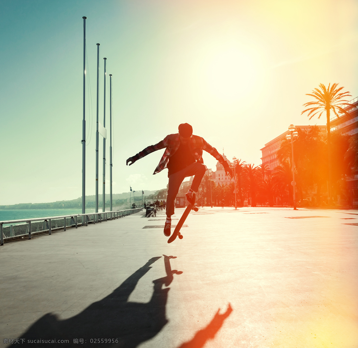 阳光 下 玩 滑板车 帅哥 男性 动 动感人物 滑板 滑板运动 体育运动 生活百科