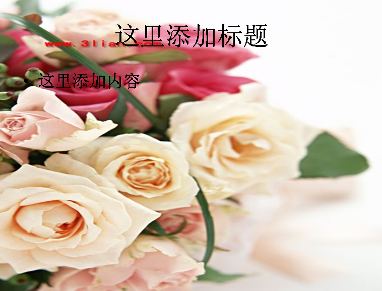 玫瑰 鲜花 婚礼 节假日 节日 模板