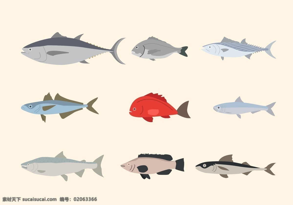 鱼图标 沙丁鱼 鱼 海 矢量 海洋 动物 插图 钓鱼 水 自然 野生动物 海鲜 背景 艺术 图标 野生 金枪鱼 海水 游泳