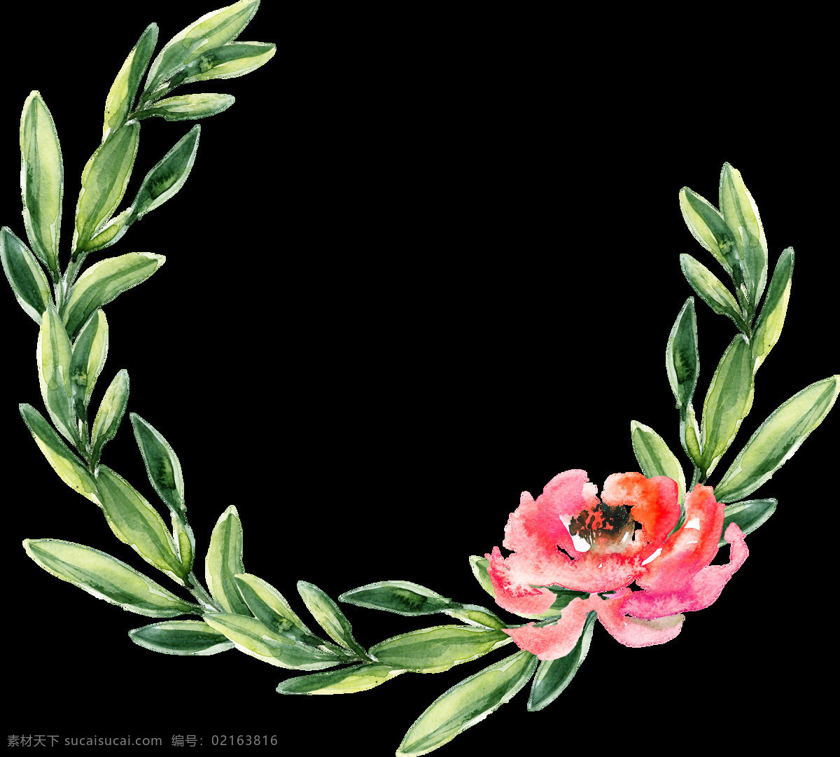红粉 花边 卡通 透明 绿色 植物 透明素材 免扣素材 装饰图案