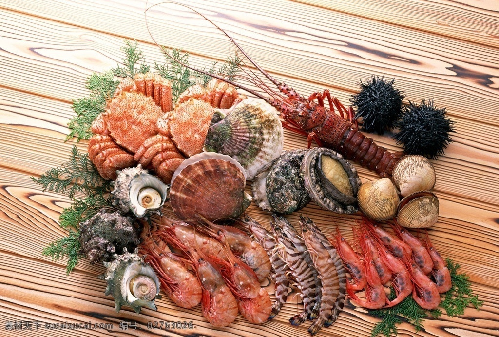 海鲜大全 虾 蟹 贝壳 螺 龙虾 新鲜食物原料 海鲜 美味 餐饮美食 食物原料 摄影图库 海洋生物 生物世界