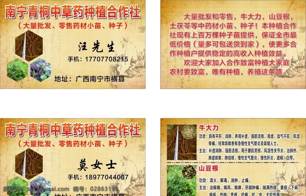 中草药 中草药功效 中草药名片 中药展板 中医文化 中草药介绍 中草药店 中草药展架 中草药中医 中草药方 草药中医 制药 采药 古代制药 中医药 保健药 生物制药 中药制药 药柜 补血 药店 药铺 中药店 中药材 中药饮片 中药养生 中药素材 中医中药 中药泡酒 中药医院 中药图谱 养生文化