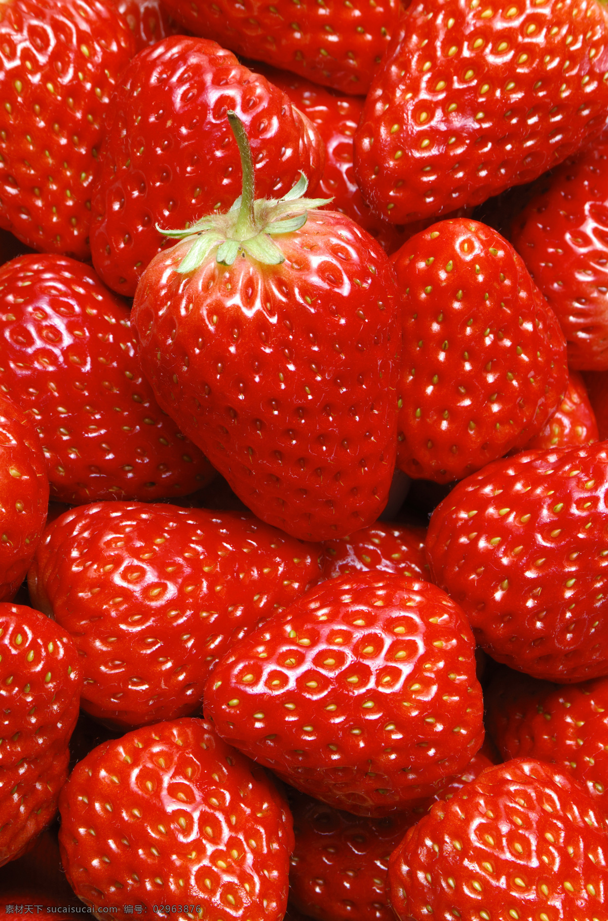 草莓免费下载 草莓 高清 细节 新鲜水果 风景 生活 旅游餐饮