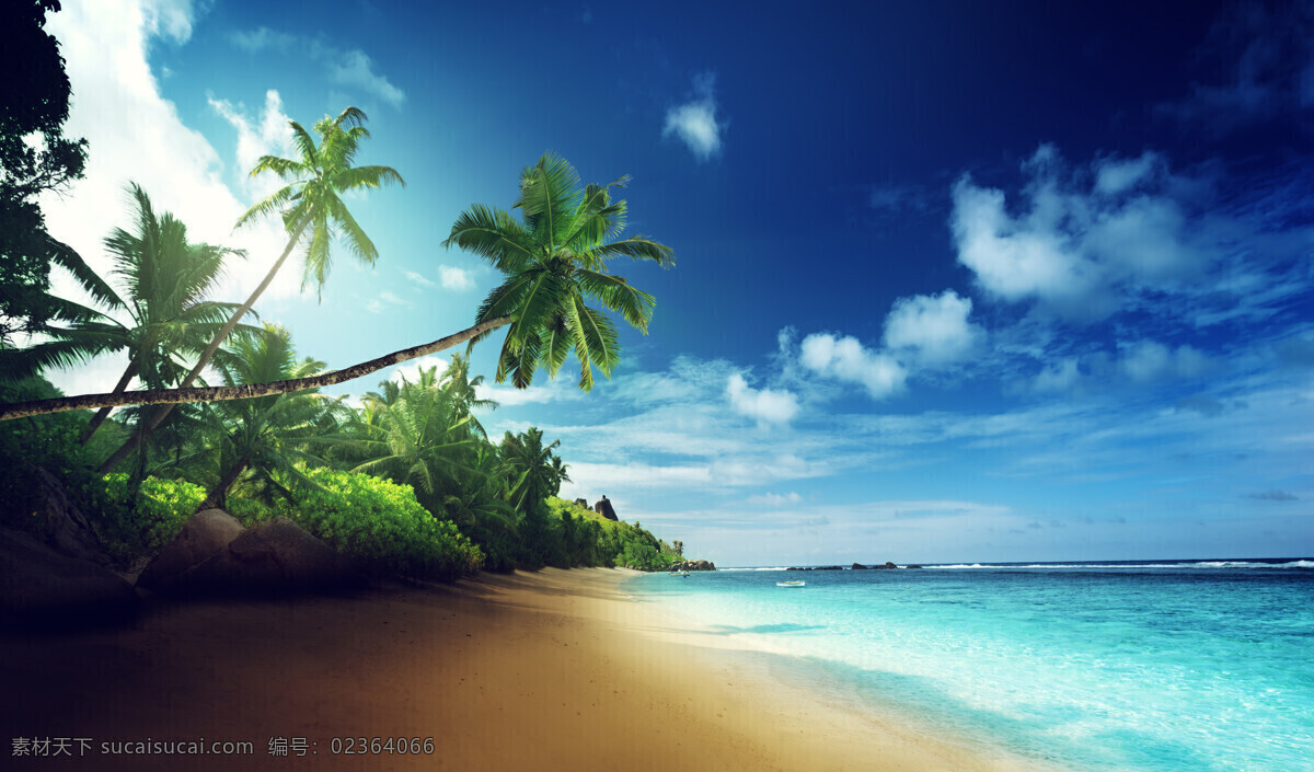 美丽海滩风景 海滩风景 沙滩风景 大海风景 椰树 蓝天白云 美丽风景 美丽景色 美景 风景摄影 自然风景 自然景观 黑色