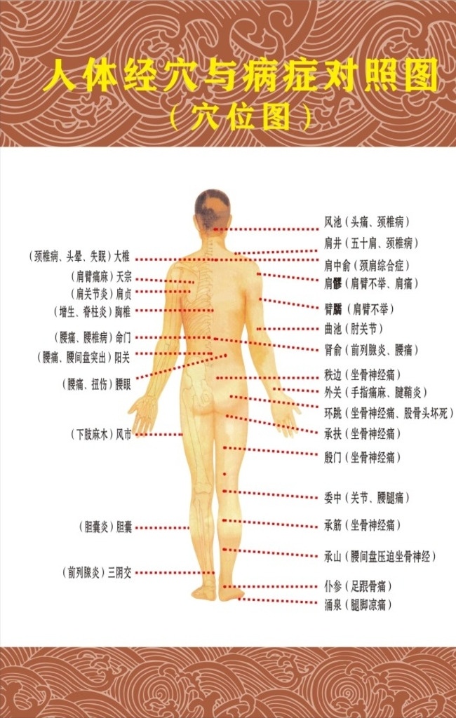 穴位图下载 人体经穴 病症对照 养生保健 男性背部图 展板模板