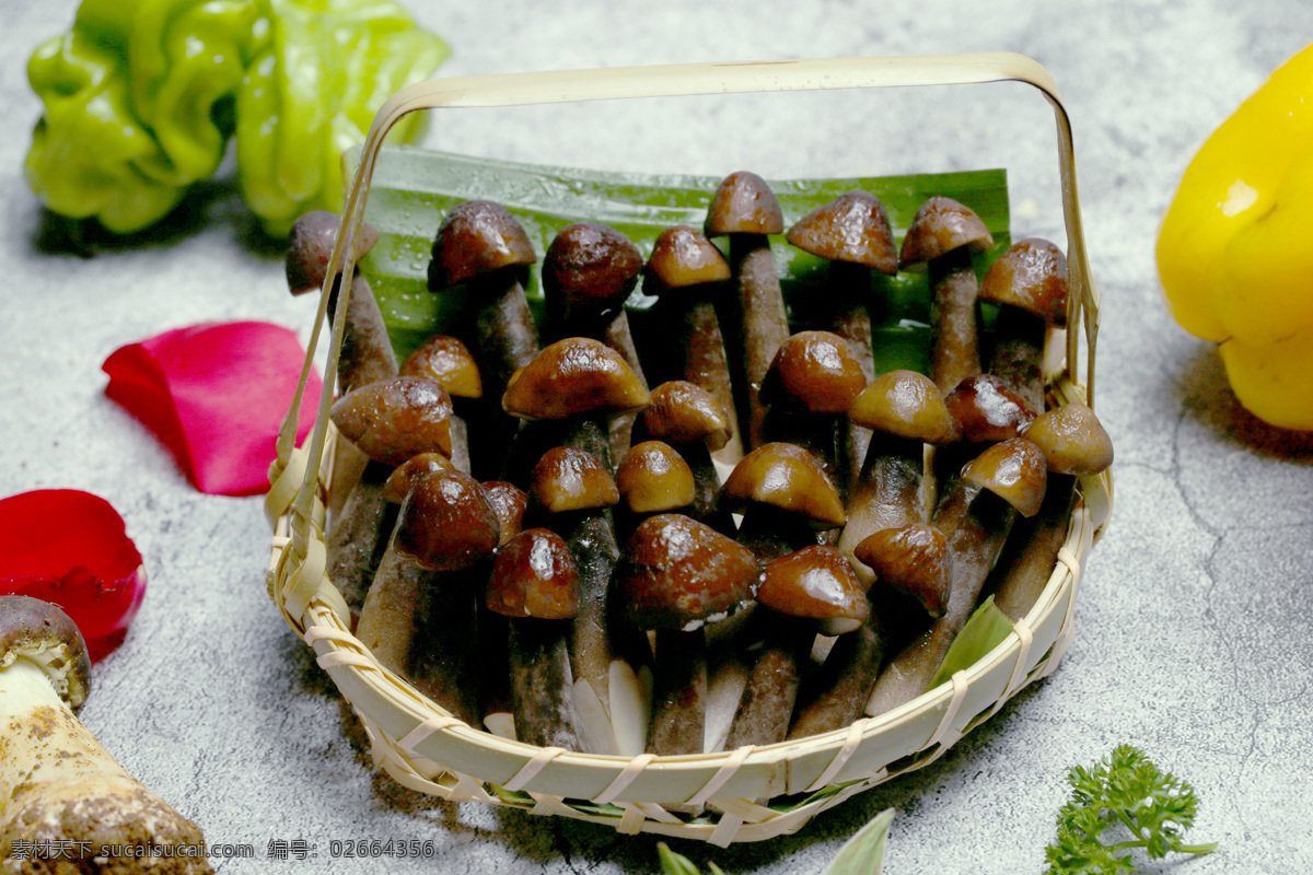 黑皮鸡枞 菌 菌类 菜 云南 火锅 吃的 食物 美食 黑皮 鸡枞 生物世界 蔬菜