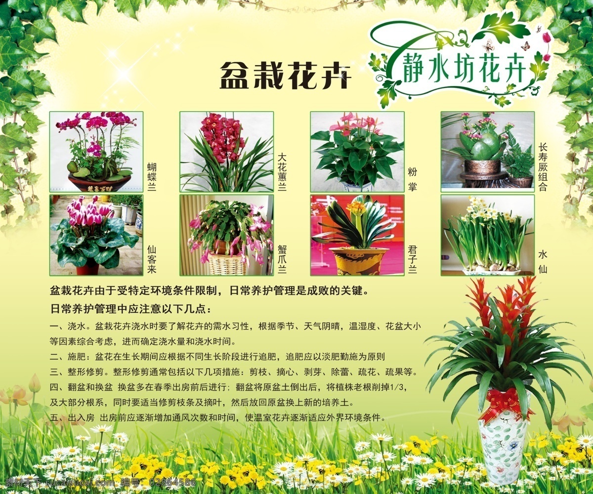 花卉展板 花卉 花卉看板 花卉形象 花卉展示