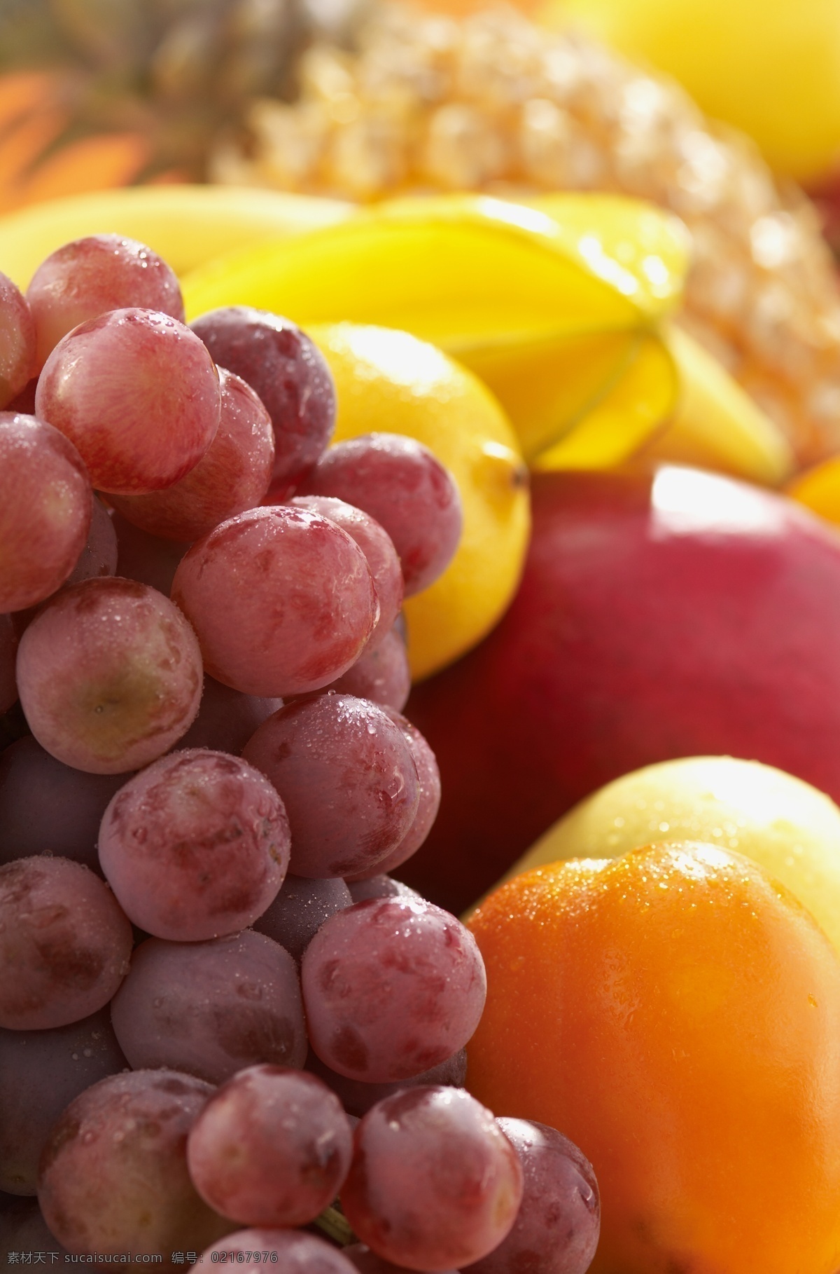 水果 食材 食物原料 餐饮美食 美食 美食摄影 美食图片 健康美食 水果素材 水果图片 葡萄 桃子 苹果 柠檬 水果集合