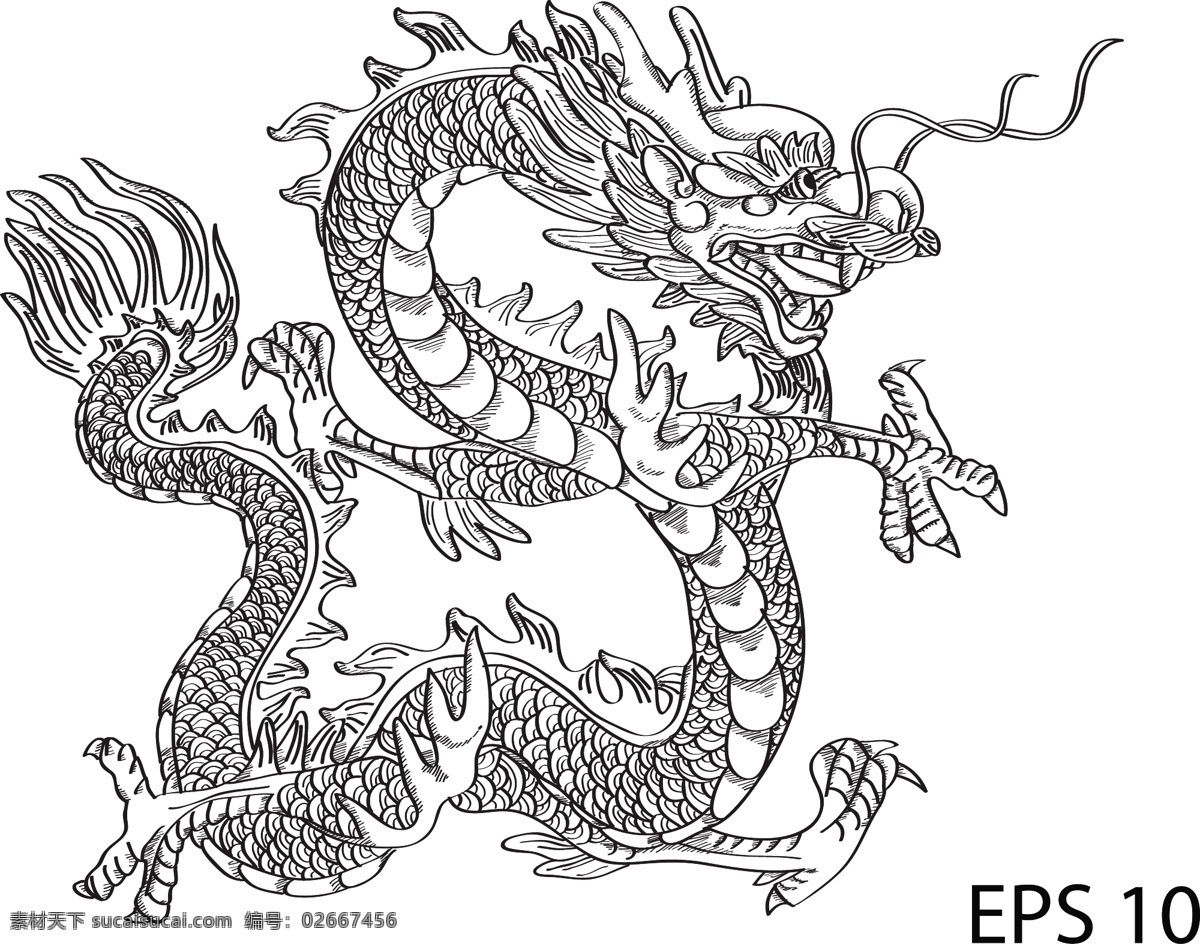 中国龙 龙王 手绘龙 民族 中国传统 文化艺术 绘画书法