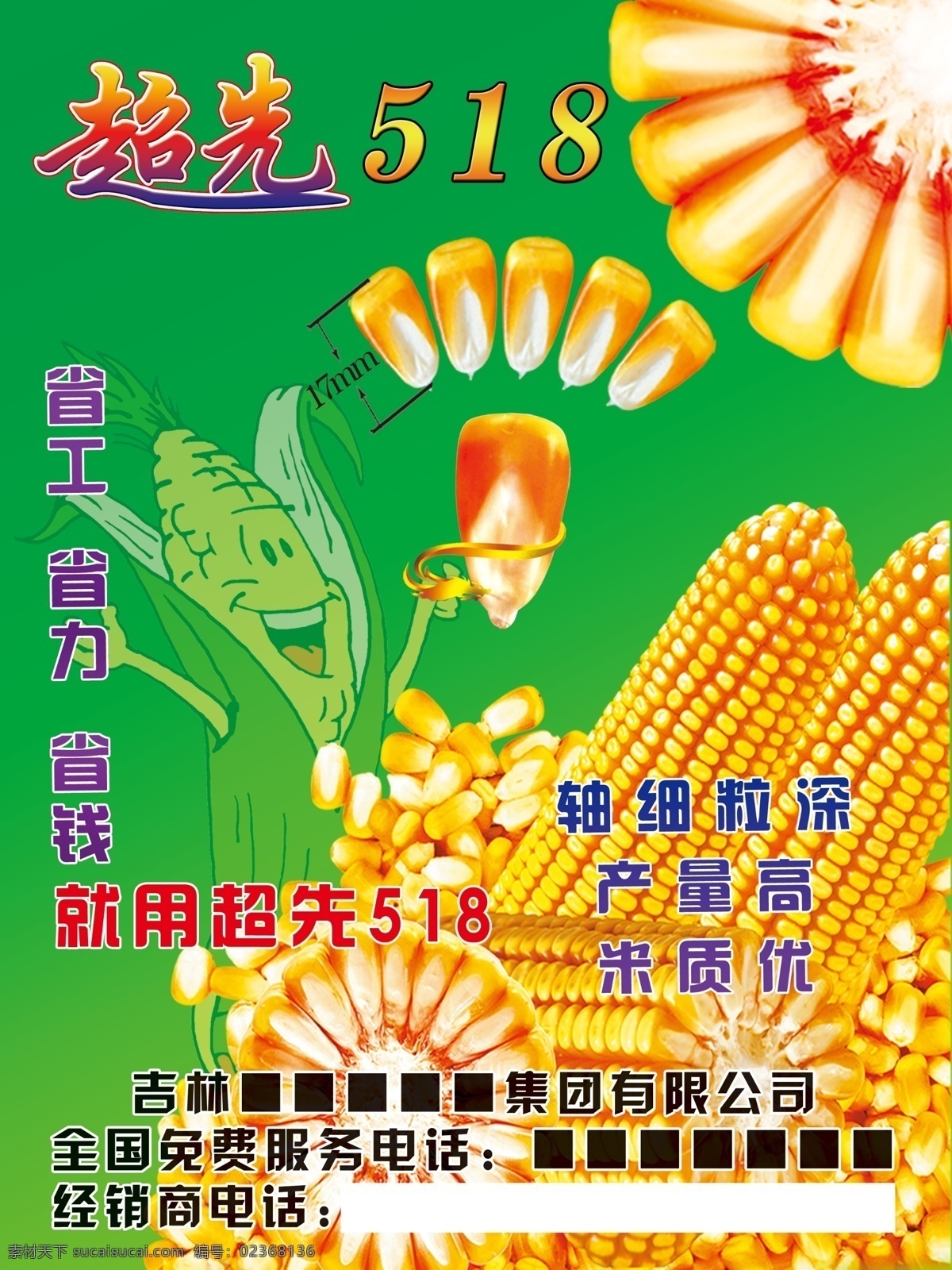 玉米宣传 超先518 玉米 背景素材 籽粒 半切面 卡通玉米 广告设计模板 源文件