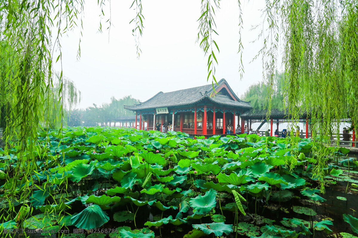 大明湖 山东 济南 泉水湖 泉城 天然湖泊 湖水 荷叶 亭台楼阁 杨柳 庭园 园林风景名胜 旅游胜地 自助游 国内旅游 旅游摄影