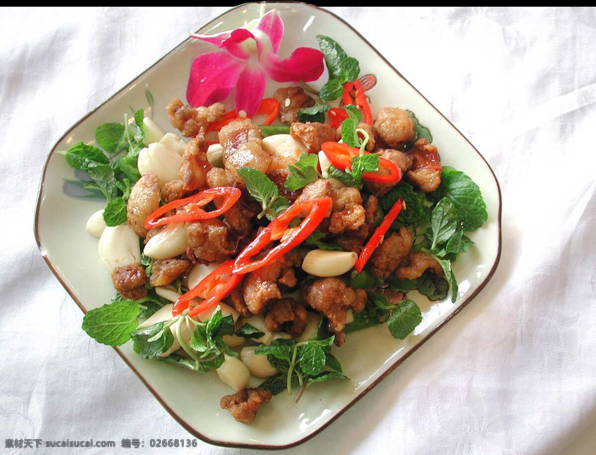 精品 菜 菜馆 餐饮美食图库 传统美食 精美菜谱封底 酒店 摄影图 食品 风景 生活 旅游餐饮