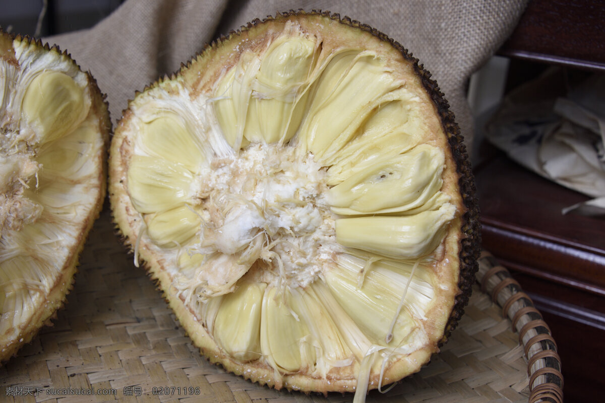 菠萝蜜 木菠萝 热带水果 水果 高营养 高热量 香甜 生物世界