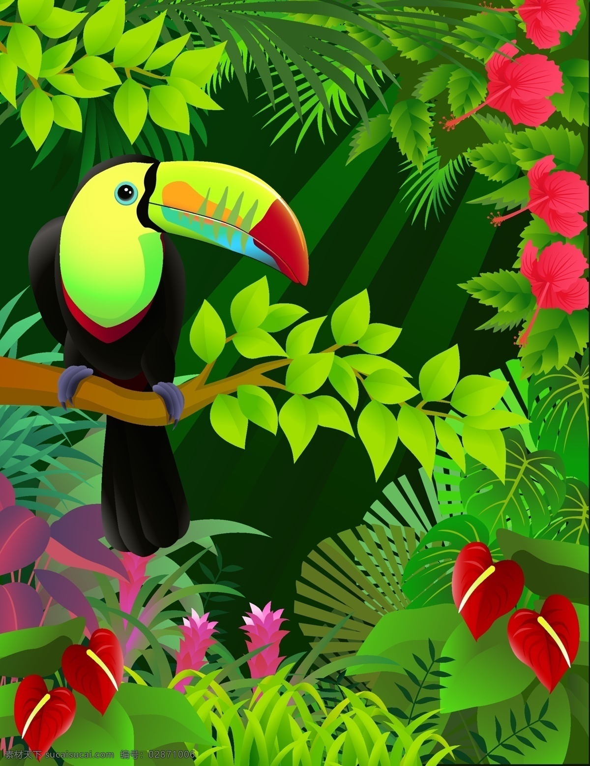 树林 里 大 嘴 鸟 插画 热带 彩色 植物 动物 大嘴鸟 花朵