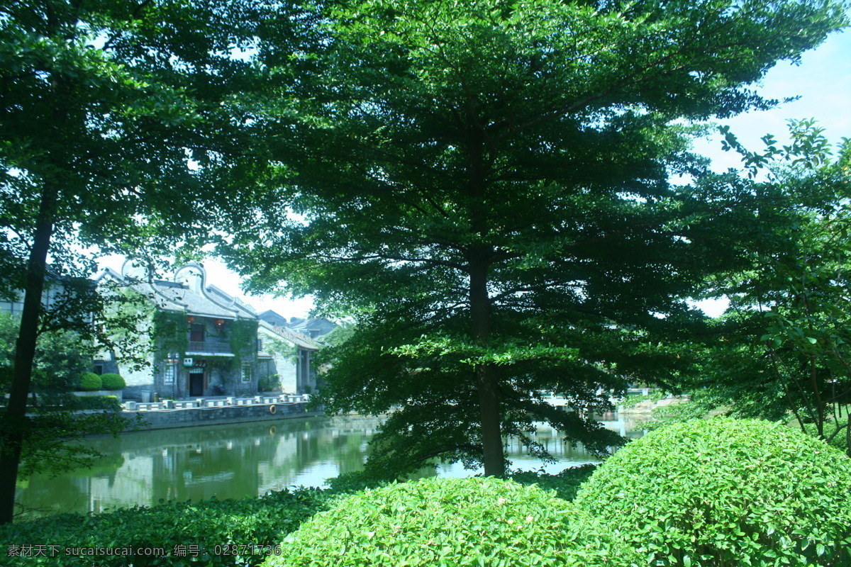 岭南印象园 旅游 树 复古 自然风景 旅游摄影 绿色
