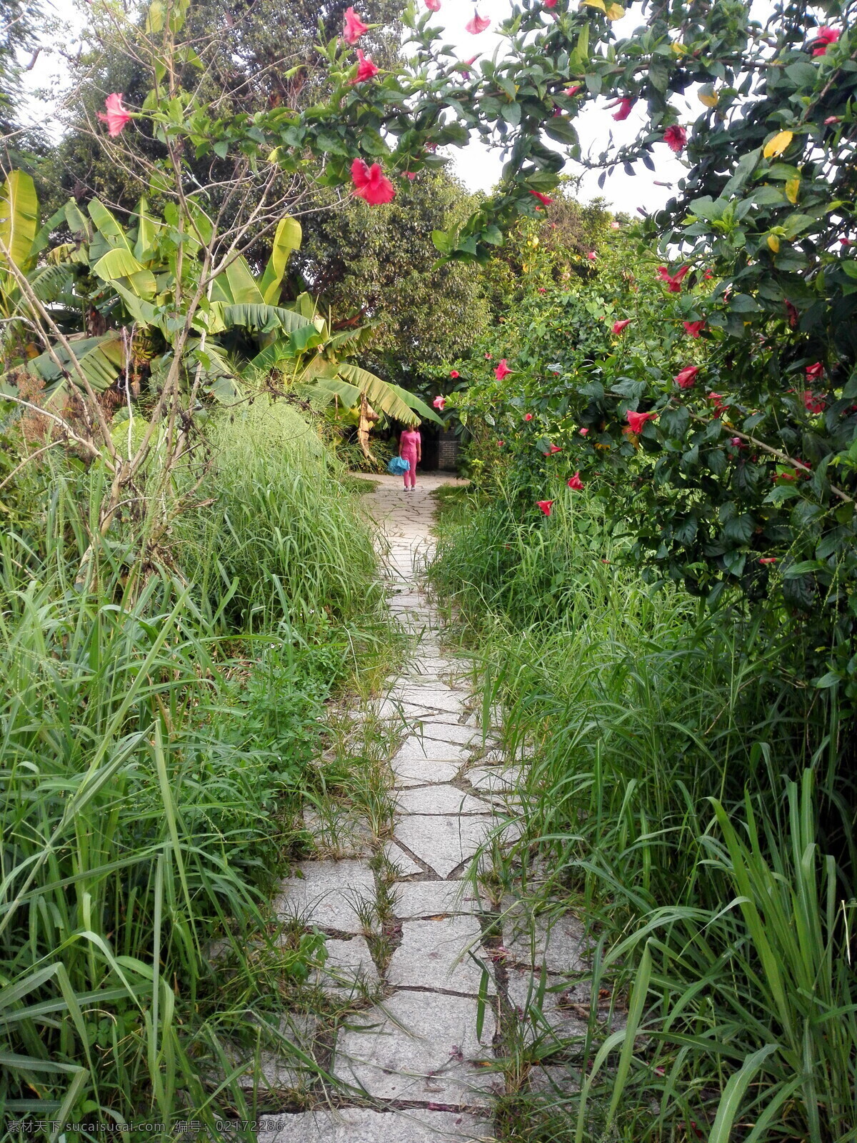 春天 公园 小路 风景 高清 田园 风光 自然 景观